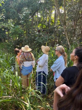 A woman swings on a tree above the sea at sunset, creating a serene silhouette.