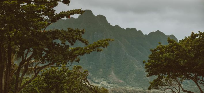 Dramatic view of Oahu's green mountains framed by lush foliage and cloudy sky.