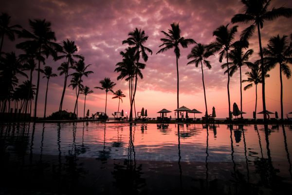 Silhouettes of palm trees at a resort pool during a stunning tropical sunset.