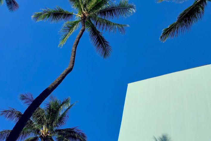 Low angle view of palm trees and building shadow against a vibrant blue sky in a tropical setting.