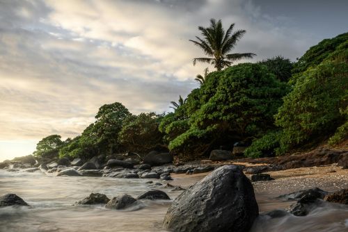 Beautiful tropical beach in Hawaii with palm trees and rocks during sunset, showcasing natural serenity.