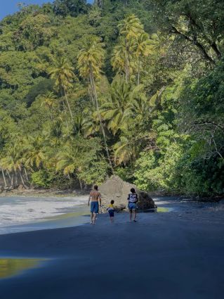 A family enjoys a peaceful walk on a stunning tropical beach in Martinique under lush palm trees.