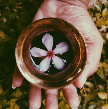 A close-up of a hand holding a brass bowl with a purple flower floating inside, surrounded by greenery.