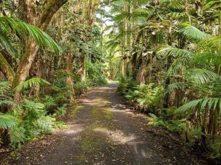 Breathtaking aerial shot of Honaunau-Napoopoo coastline showcasing vibrant turquoise waters and lush greenery.