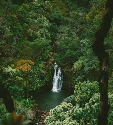 Three children enjoy a sunny day playing on Waialua Beach, Hawaii, with clear skies and blue ocean waters.